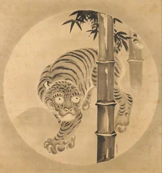 Tiger kommer fra bambus